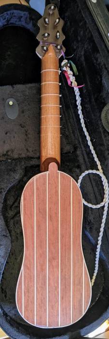 myfirstrenguitarback.jpg