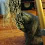 img_20150603_173737.jpg