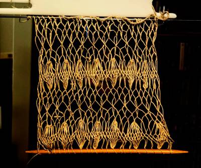 Trying rose netting and some gathers
